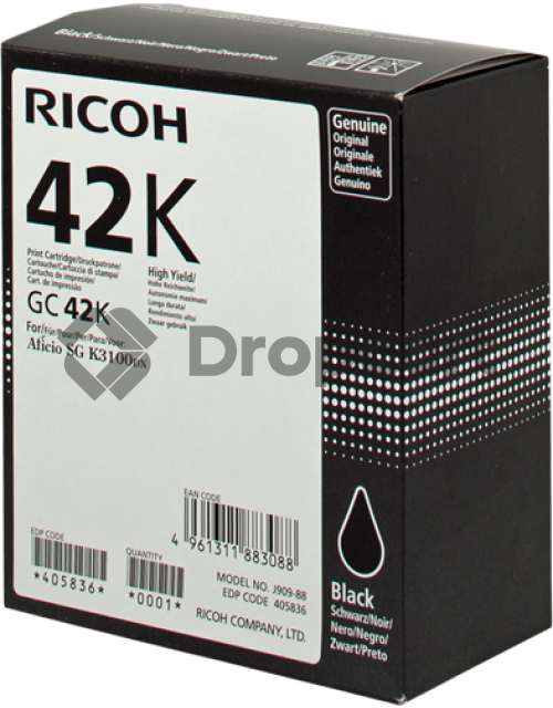 Ricoh 405836 zwart