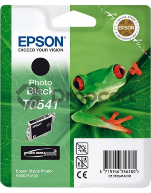 Epson T0541 foto zwart