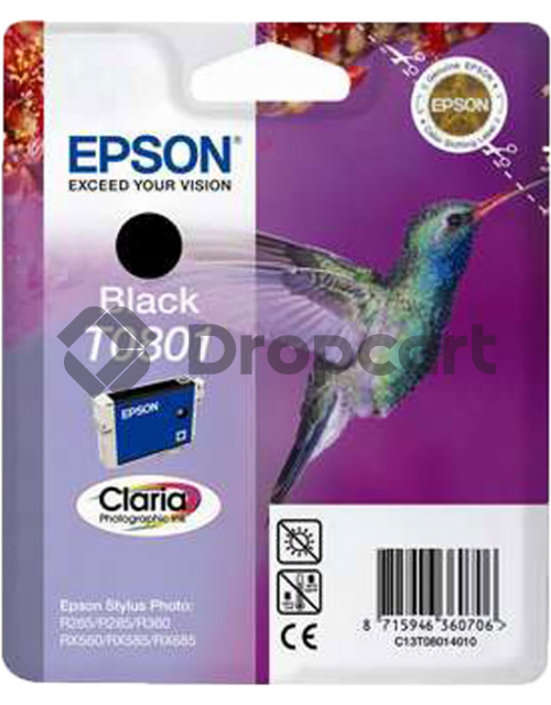 Epson T0801 zwart