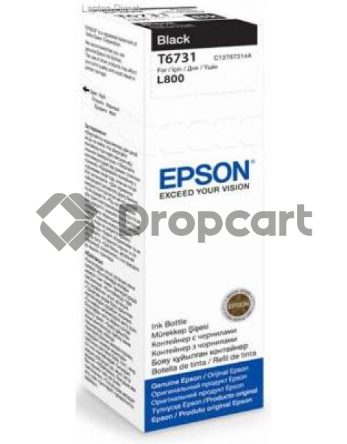 Epson T6731 zwart