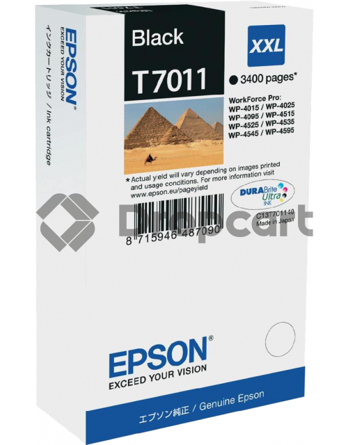 Epson T7011 zwart