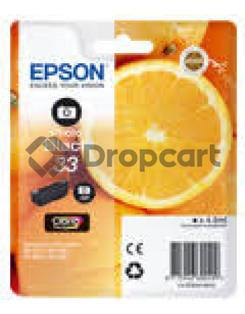 Epson 33 foto zwart